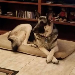 Meet your Posher, Mary